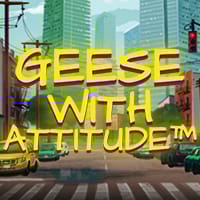 Geese with Attitude in Sub_Slots